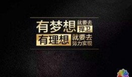 爆料今日一线为什么不来,今日一线停播背后的真相与原因