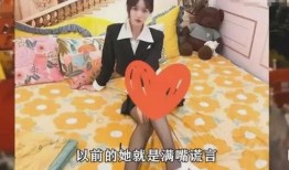 爆料澳门网红视频大全,视频大全带你领略璀璨魅力