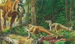 官方爆料恐龙时代视频下载,官方爆料视频带你穿越史前世界